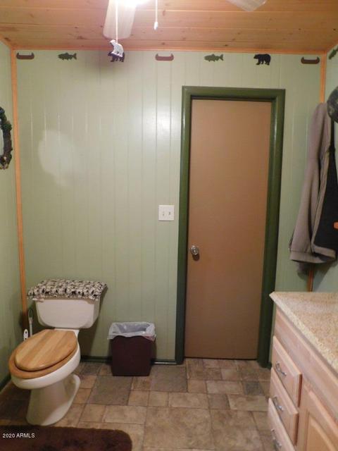 1924 Chevelon Rd, Overgaard, AZ 85933 photo 14