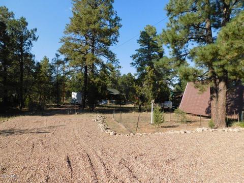 1924 Chevelon Rd, Overgaard, AZ 85933 photo 2