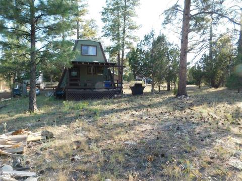 1924 Chevelon Rd, Overgaard, AZ 85933 photo 22