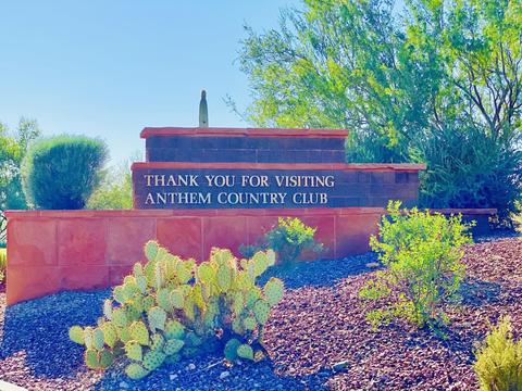 41413 N River Bend Rd, Phoenix, AZ 85086 photo 44