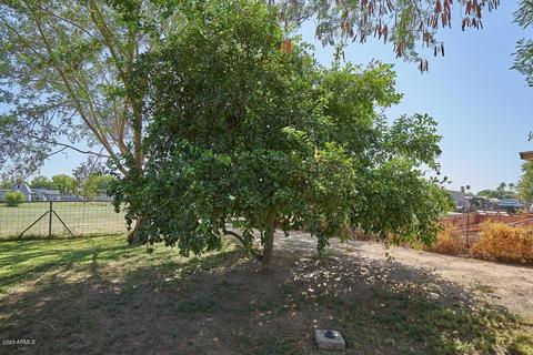 117 E Shannon St, Gilbert, AZ 85295 photo 46