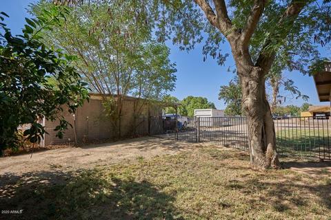 117 E Shannon St, Gilbert, AZ 85295 photo 45