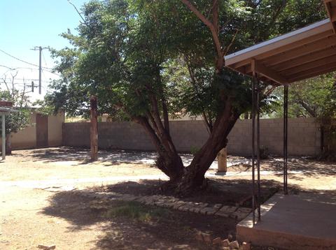 641 E 8th St, Douglas, AZ 85607 photo 21