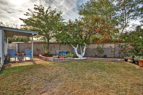 3222 E Georgia Ave, Phoenix, AZ 85018 photo 49