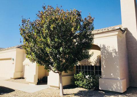 6350 N 10th Ave, Phoenix, AZ 85013 photo 3