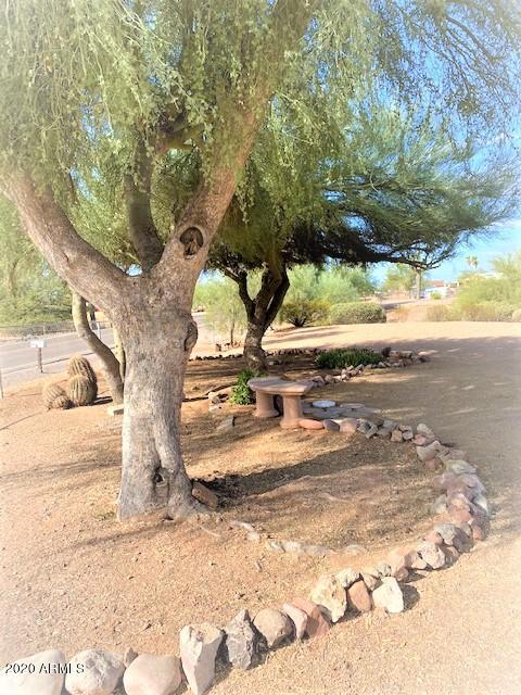 1080 E Scenic St, Apache Junction, AZ 85119 photo 46