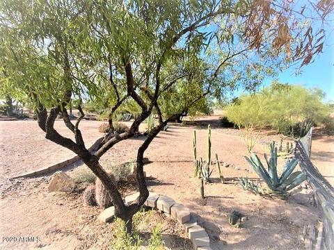 1080 E Scenic St, Apache Junction, AZ 85119 photo 44