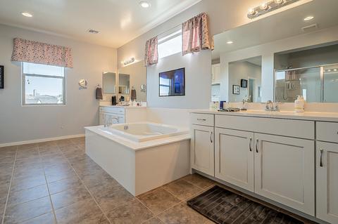 3043 E Quenton St, Mesa, AZ 85213 photo 46