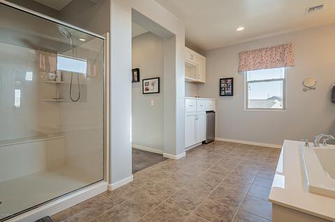 3043 E Quenton St, Mesa, AZ 85213 photo 45