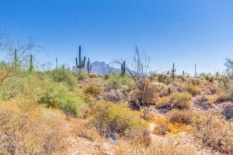 4681 N San Marcos Dr, Apache Junction, AZ 85120 photo 34