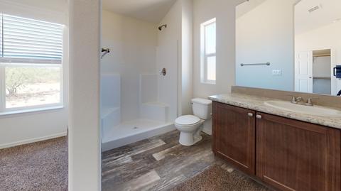 1442 E Morris Ln, Benson, AZ 85602 photo 19