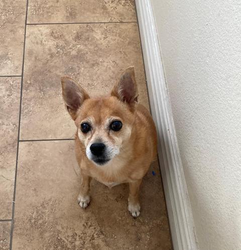1739 E Granada Rd, Phoenix, AZ 85006 photo 34
