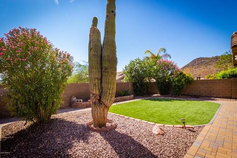 2155 Electra Ln, Phoenix, AZ 85024 photo 24