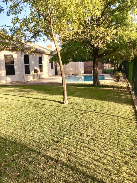 1787 W Redfield Rd, Gilbert, AZ 85233 photo 16