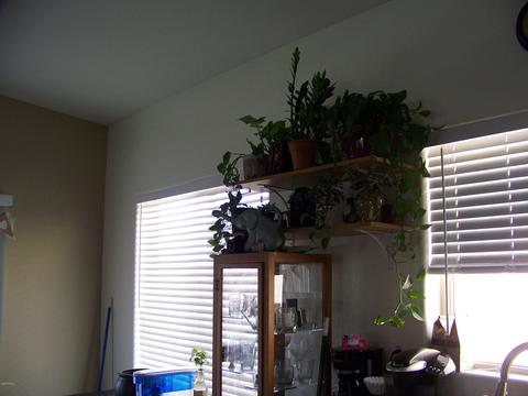 2631 E Bellerive Dr, Gilbert, AZ 85298 photo 5