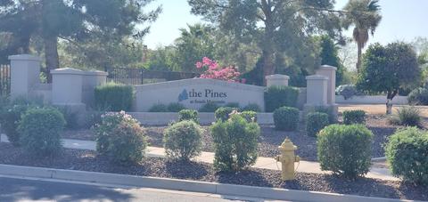 2210 E Branham Ln, Phoenix, AZ 85042 photo 3