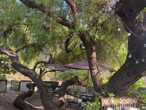 2240 E Georgia Ave, Phoenix, AZ 85016 photo 44