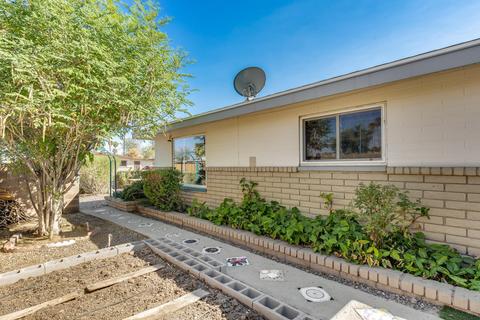 439 E Brown Rd, Mesa, AZ 85203 photo 6