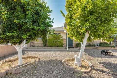 439 E Brown Rd, Mesa, AZ 85203 photo 2