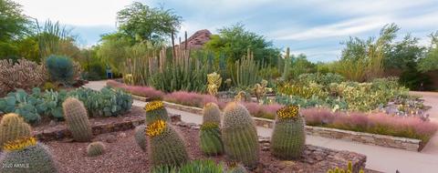 5247 E Cambridge Ave, Phoenix, AZ 85008 photo 52