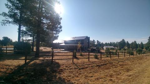 2274 Spitfire Cir, Overgaard, AZ 85933 photo 10