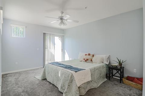 3633 N 3rd Ave #2110, Phoenix, AZ 85013 photo 17