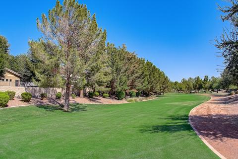 901 E Lodgepole Dr, Gilbert, AZ 85298 photo 69