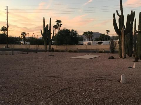 724 N Pinyon Dr, Apache Junction, AZ 85120 photo 16