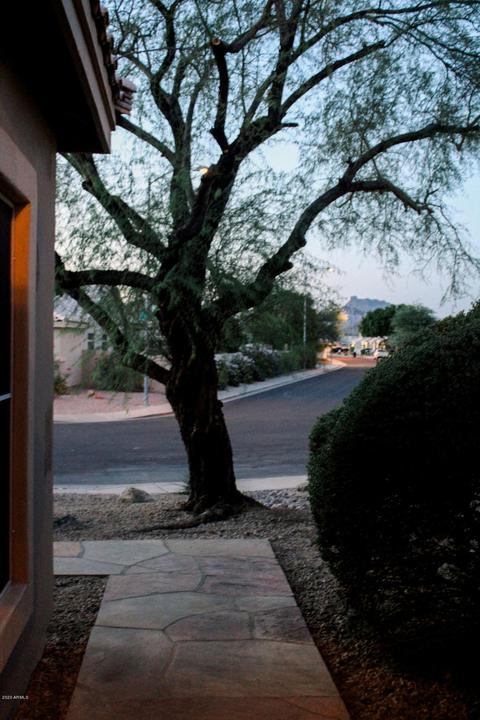 6617 E Riverdale St, Mesa, AZ 85215 photo 23