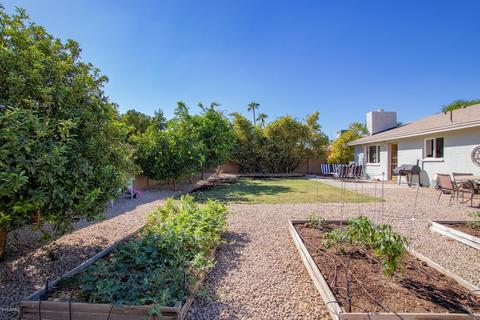 3941 E Shaw Butte Dr, Phoenix, AZ 85028 photo 22