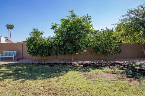 3941 E Shaw Butte Dr, Phoenix, AZ 85028 photo 23
