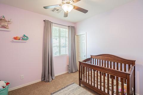 11321 E Shelley Ave, Mesa, AZ 85212 photo 14
