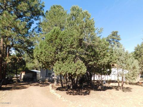 2862 Markham Rd, Overgaard, AZ 85933 photo 1