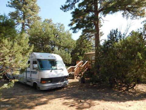 2862 Markham Rd, Overgaard, AZ 85933 photo 29