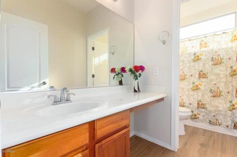 3856 S Dew Drop Ln, Gilbert, AZ 85297 photo 19