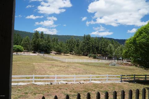 1144 E Ranch Rd, Christopher Creek, AZ 85541 photo 3