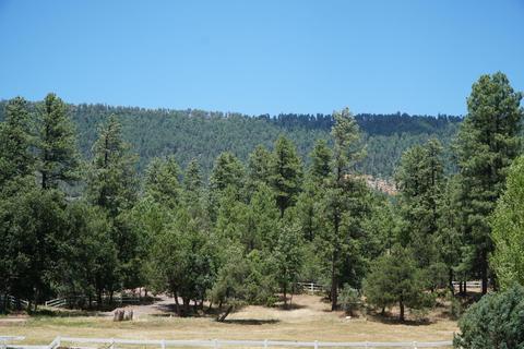 1144 E Ranch Rd, Christopher Creek, AZ 85541 photo 4
