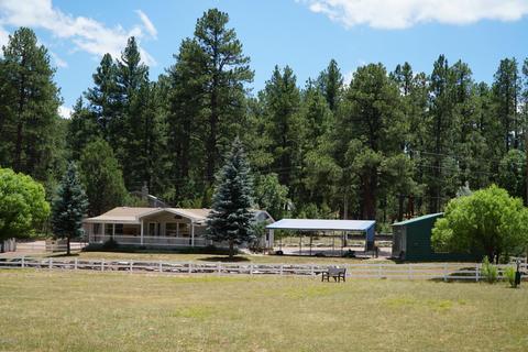 1144 E Ranch Rd, Christopher Creek, AZ 85541 photo 2