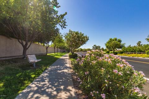 9732 E Lompoc Ave, Mesa, AZ 85209 photo 46