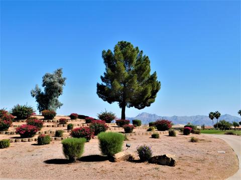 11340 E Monte Ave, Mesa, AZ 85209 photo 31