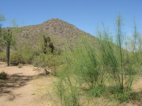 2105 E Quail Ave, Phoenix, AZ 85024 photo 28