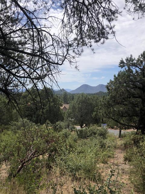 808 N Grapevine Dr, Payson, AZ 85541 photo 19