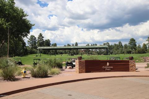 808 N Grapevine Dr, Payson, AZ 85541 photo 22