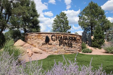 808 N Grapevine Dr, Payson, AZ 85541 photo 21