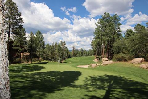 808 N Grapevine Dr, Payson, AZ 85541 photo 23