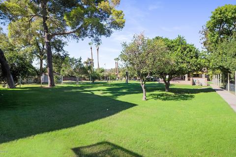 309 E 15th St, Tempe, AZ 85281 photo 17