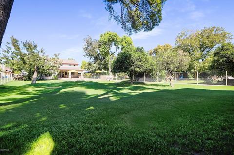 309 E 15th St, Tempe, AZ 85281 photo 15