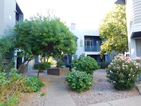 3633 N 3rd Ave #2076, Phoenix, AZ 85013 photo 36