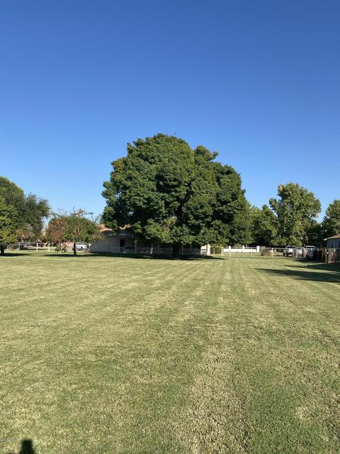 3352 S 147th Pl S, Gilbert, AZ 85297 photo 11