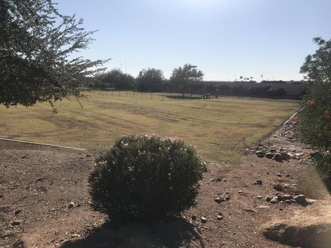 2074 E 29th Ave, Apache Junction, AZ 85119 photo 38